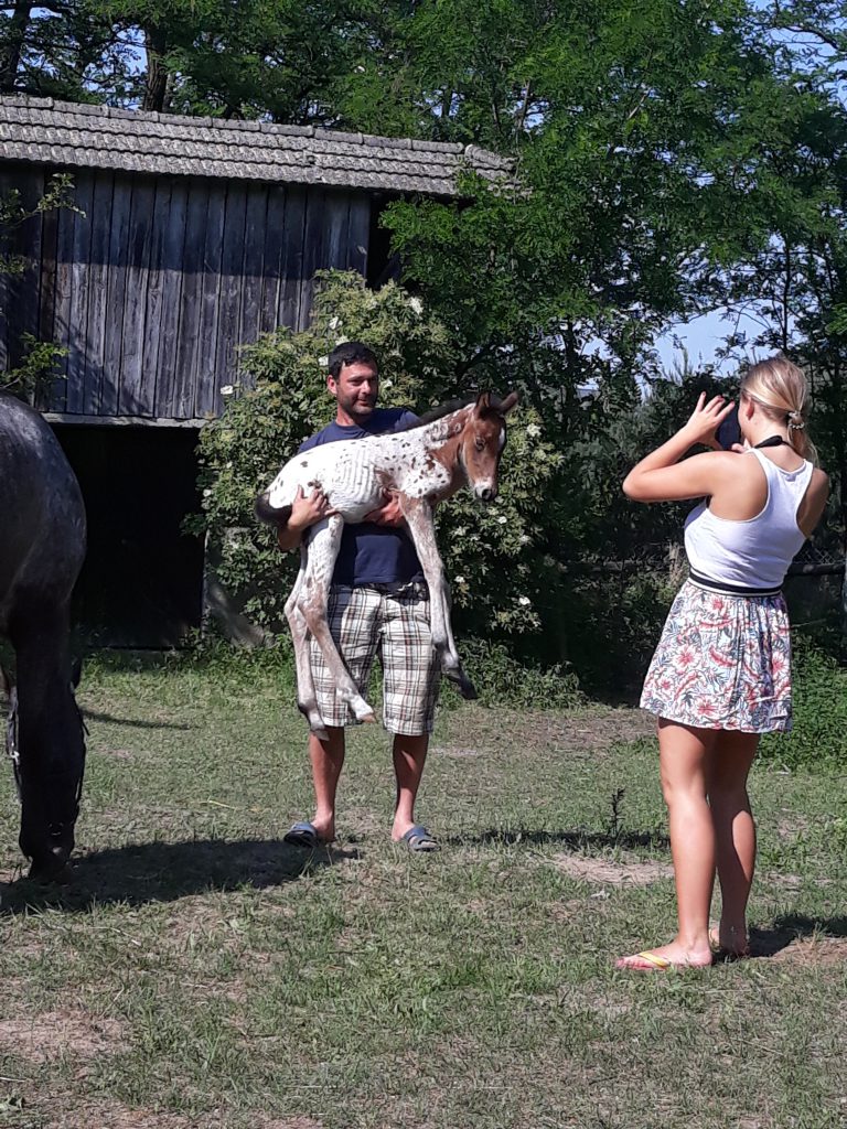 Zdjęcie z 27 maja 2018