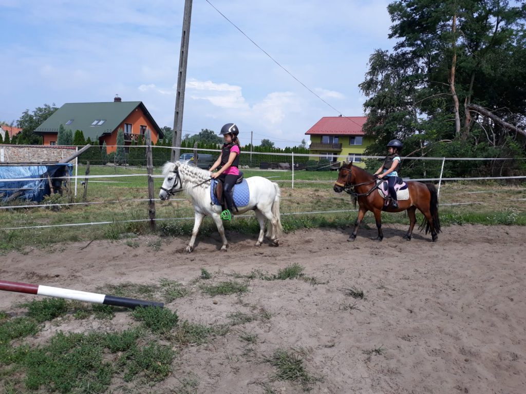 Nauka jazdy