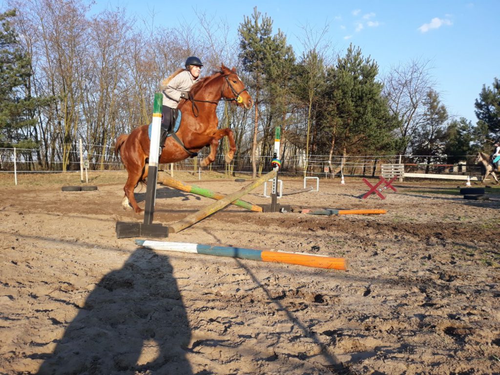 Treningi 2